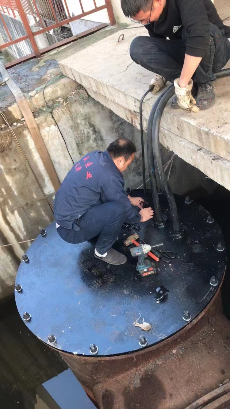 900QZB-132千瓦潜水轴流泵天津西青区雨水排涝泵站安装第4张-潜水电机-潜水电泵-高压潜水电机-天津潜成泵业